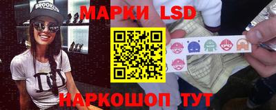 сатива Аргун