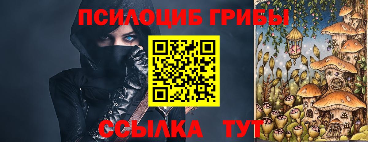 Псилоцибиновые грибы Psilocybe Балабаново